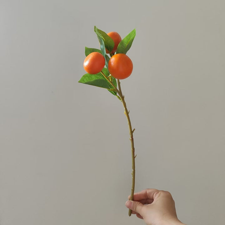 Dekorative Orange Obststängel