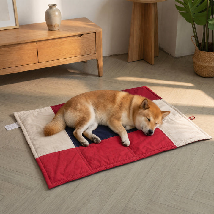 Bequeme gepolsterte Hundebett