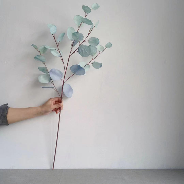 Dekorativer Eukalyptus-Stiel