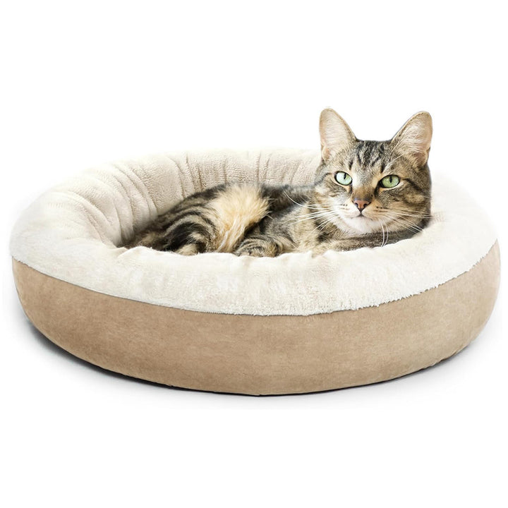 Gemütliches Katzen Karnz Bett