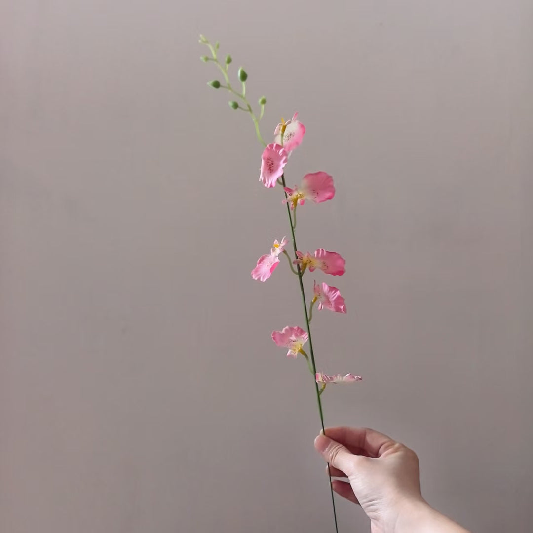 Dekorative Orchideenstängel