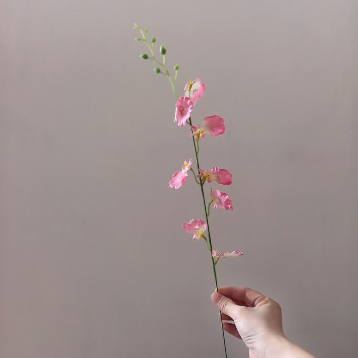 Dekorative Orchideenstängel