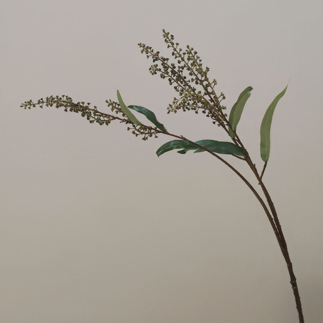 Dekorative Botanische Zweig