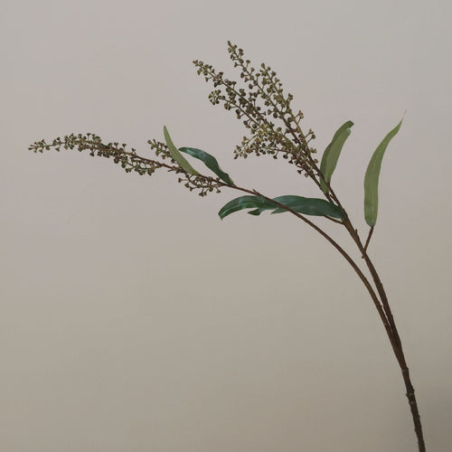 Dekorative Botanische Zweig