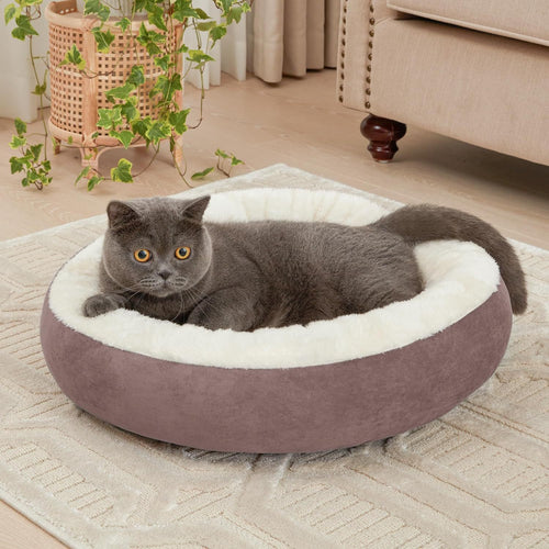 Gemütliches Katzen Karnz Bett