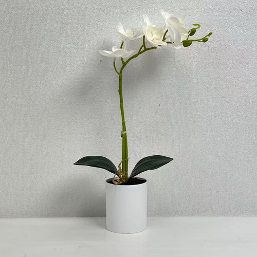 Realistische Künstliche Orchideenstängel