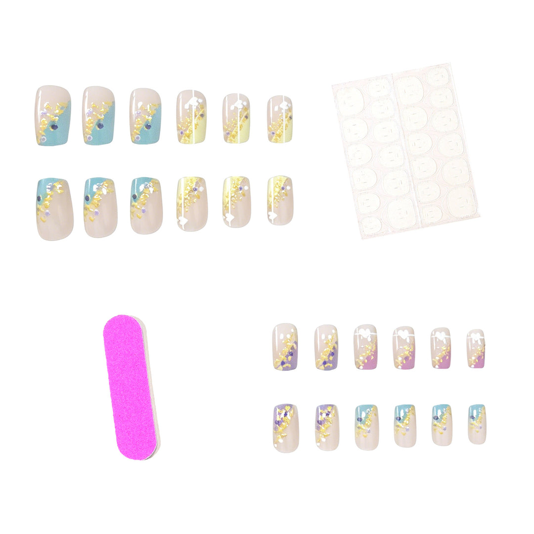 Elegante Ombre Acryl-Nagelkunst-Verstärkungen Karnz