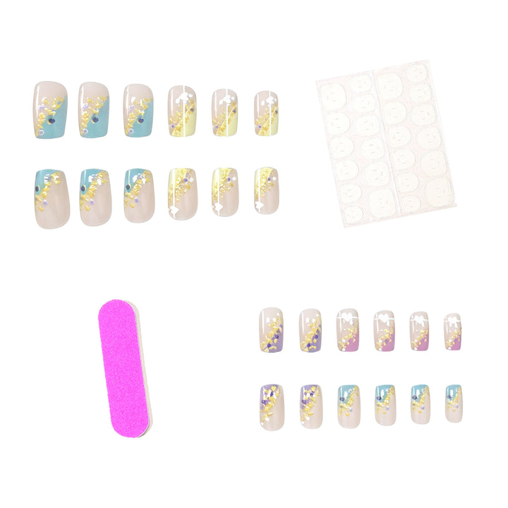 Elegante Ombre Acryl-Nagelkunst-Verstärkungen Karnz