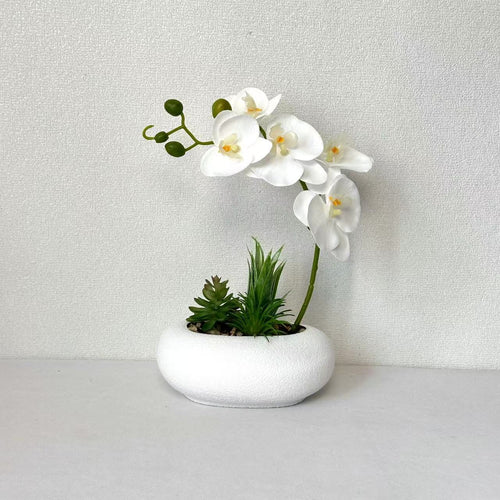 Eleganter Orchideen- und Sukkulentenpflanzer