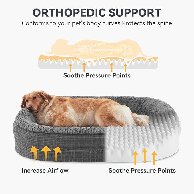 Orthopädische Unterstützung  Liege   Hundebett