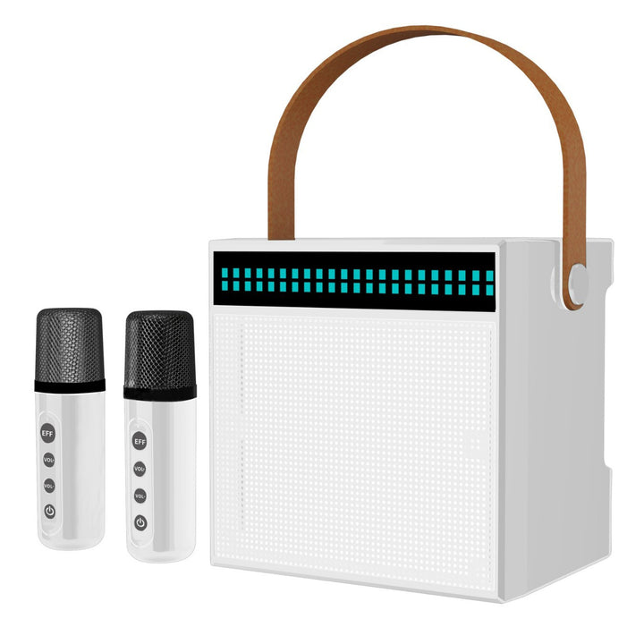 Tragbares Karaoke-System mit Dual-Mikrofonen Karnz