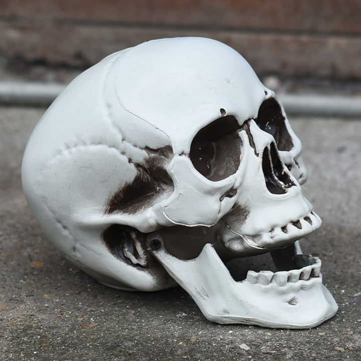 Dekorativer Skull Telefonständer Karnz 1790561033