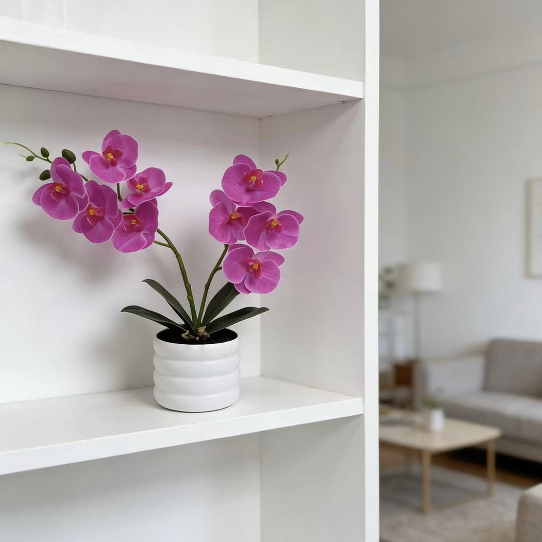 Lebensechte Orchideen Dekor