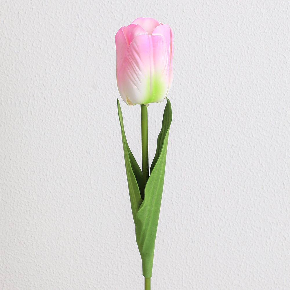Dekorative Kunsttulpe Karnz