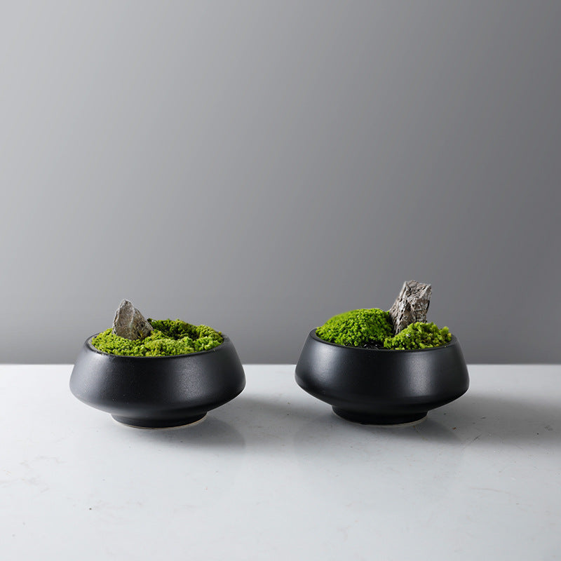 Dekorative Moos Schüssel mit Sockel Base