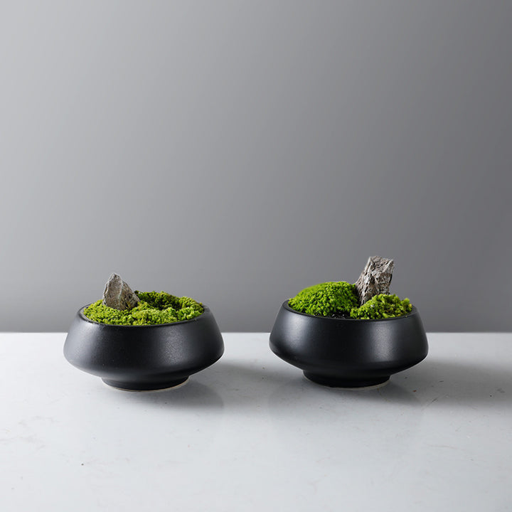 Dekorative Moos Schüssel mit Sockel Base