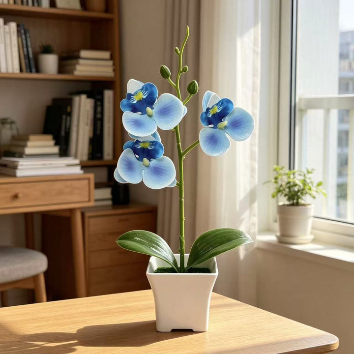Künstliche Orchideenarrangements für Wohn- und Bürodeko