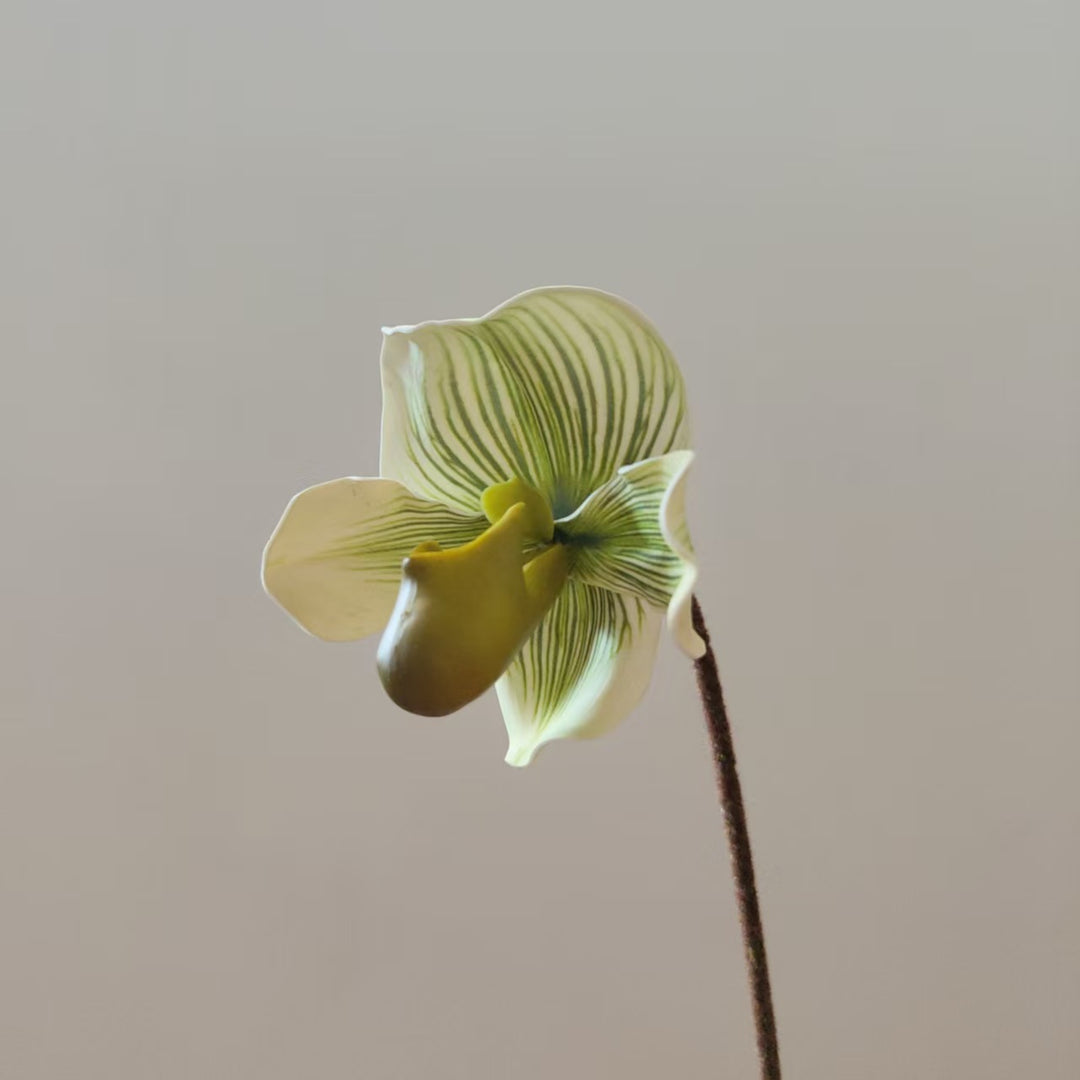 Realistische Orchideenstamm-Vase Dekoration
