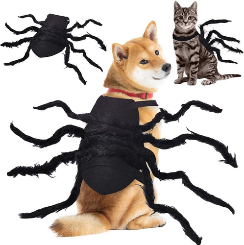 Kostüm Accessoire