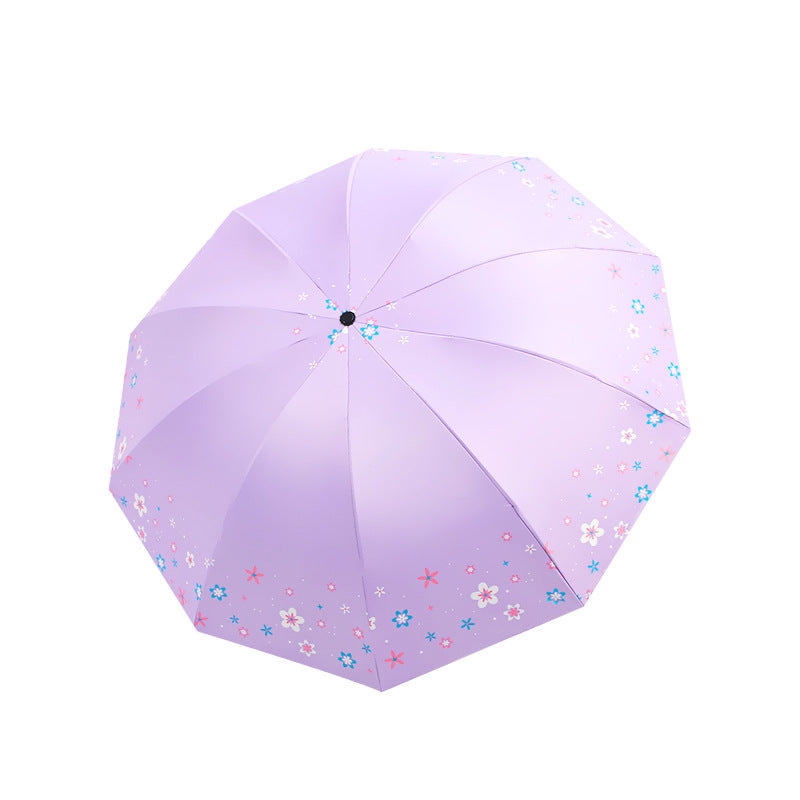 Damen Regenschirm Karnz