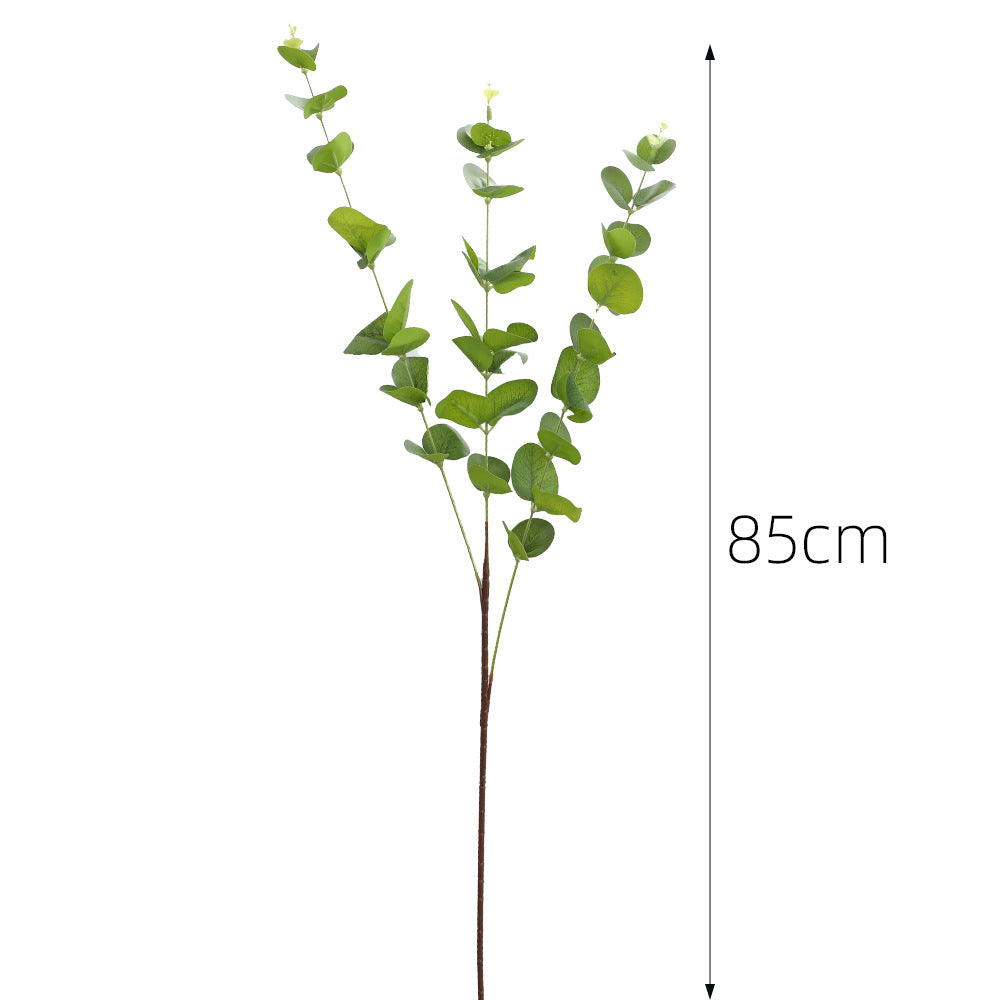 Dekorative Pflanzen Karnz