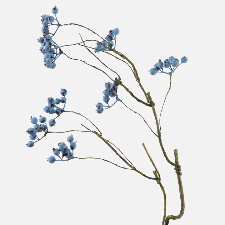 Dekorative Beerenzweig