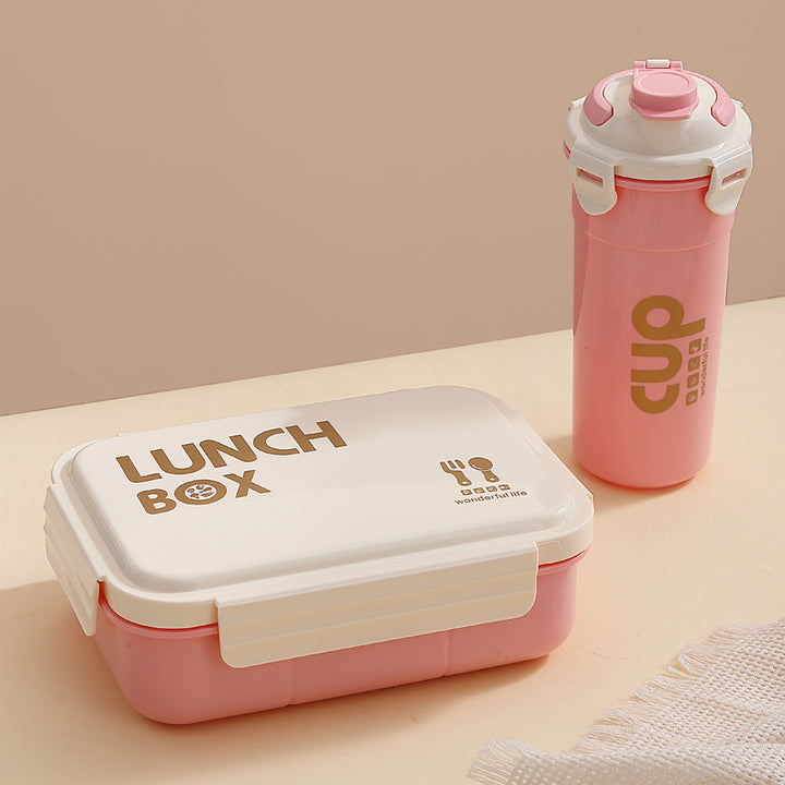 Stylische isolierte Lunchbox