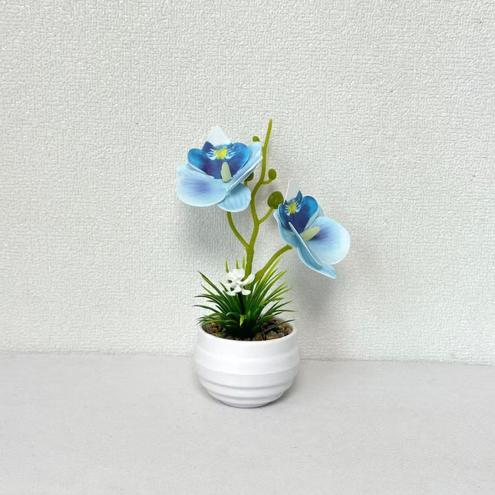 Dekorative Miniaturorchideen-Tischdekoration