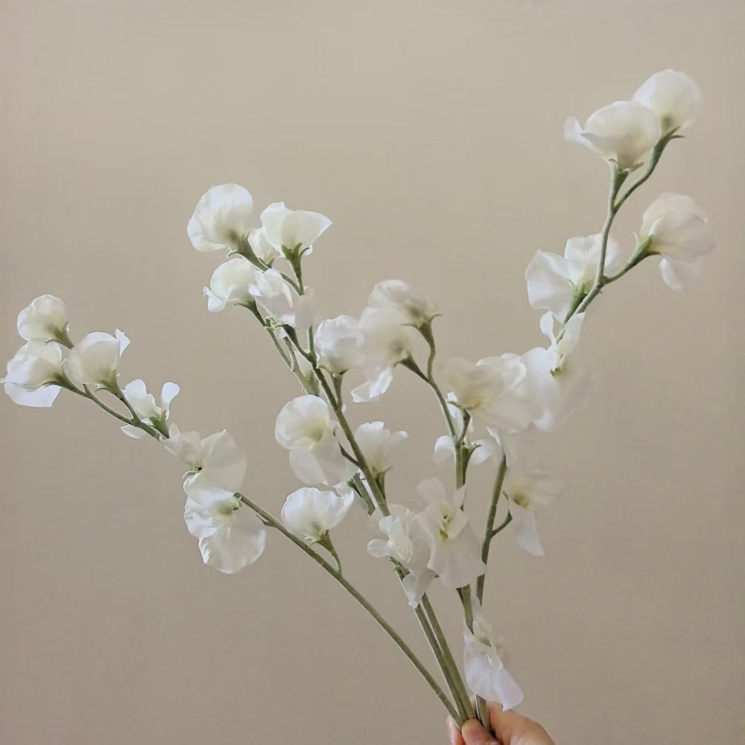 Elegante Seide Sweet Pea Stiel