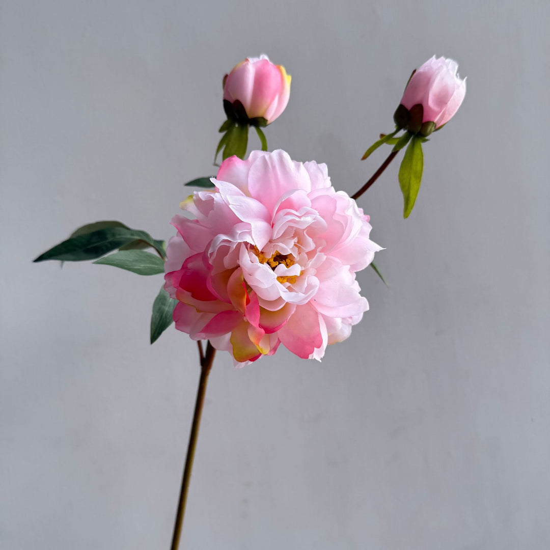 Dekorative Blumenarrangement