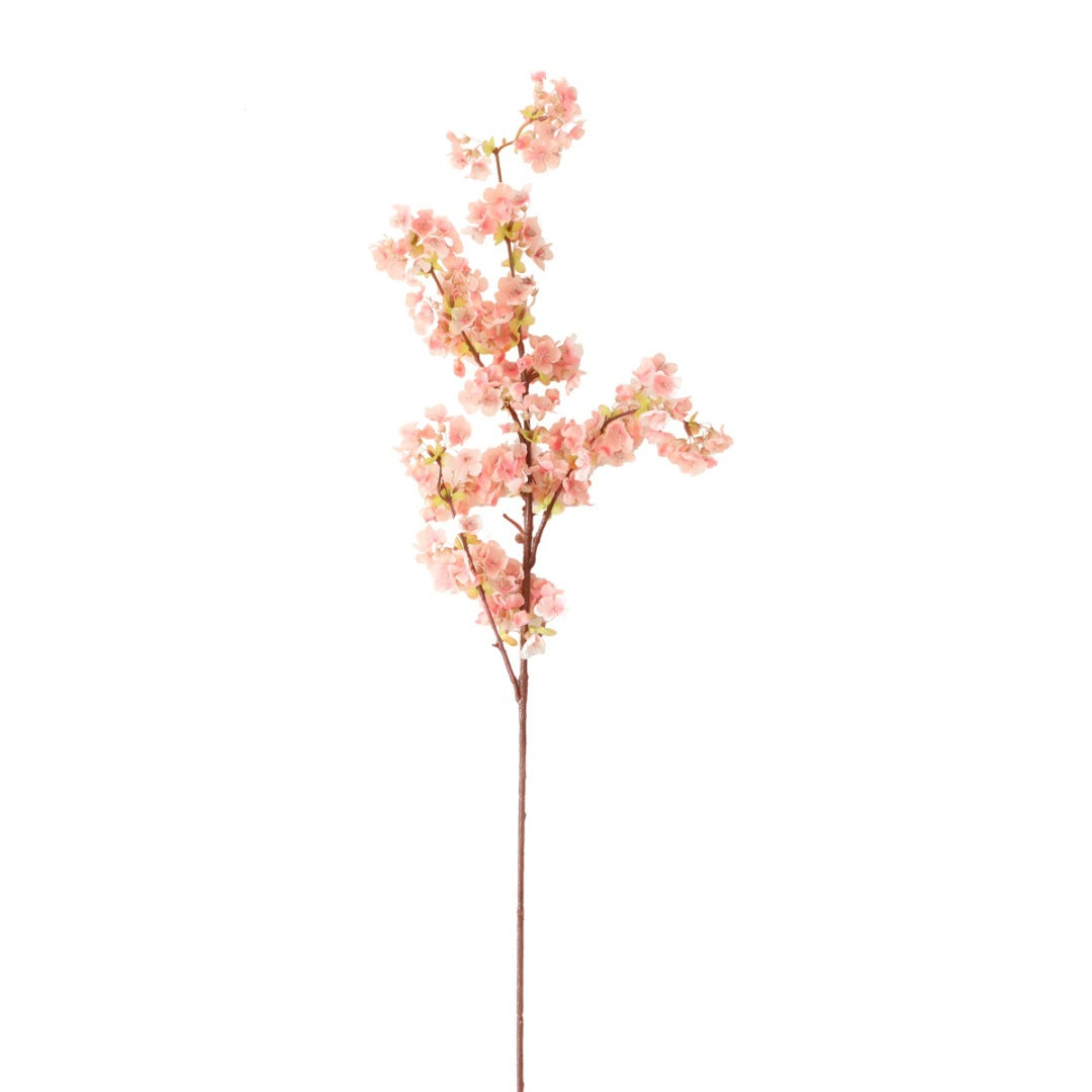 Elegante Botanische Dekoration