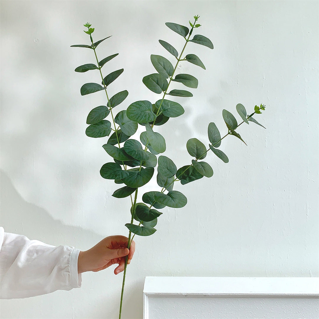 Dekorativer Eukalyptus-Stiel