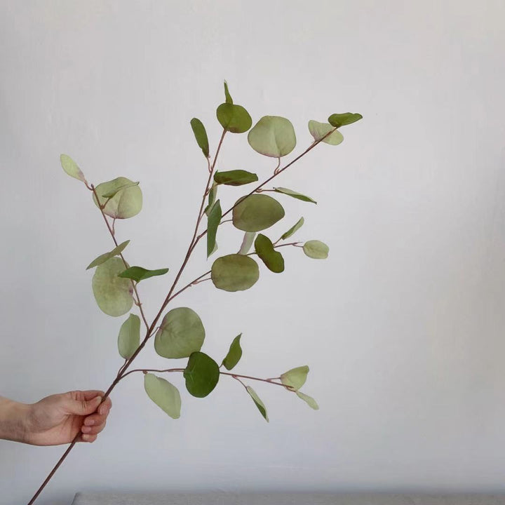 Dekorativer Eukalyptus-Stiel