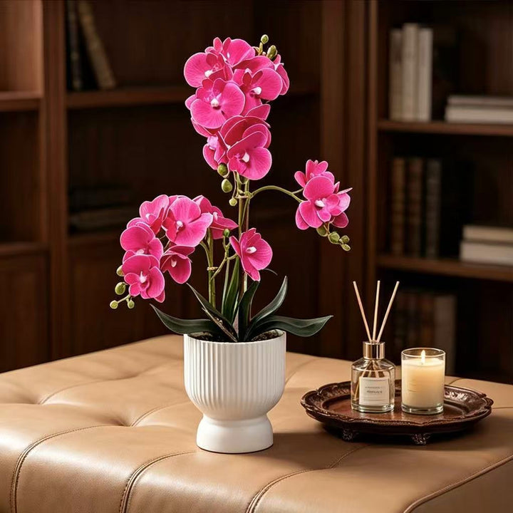 Dekorative Orchideenpflanzenarrangement 1790480695 für Dekor