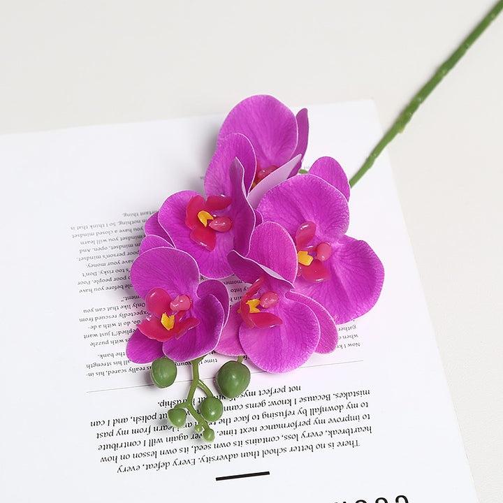 Realistische Orchideenblütenstängel