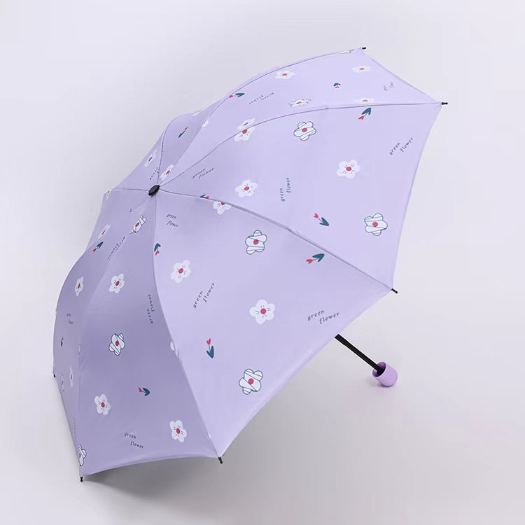 Damen Regenschirm Karnz