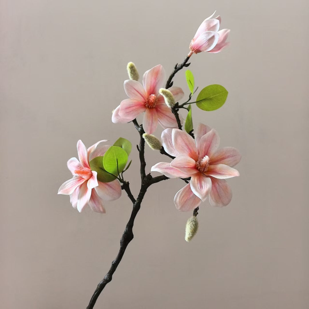 Elegante Magnolienstängel