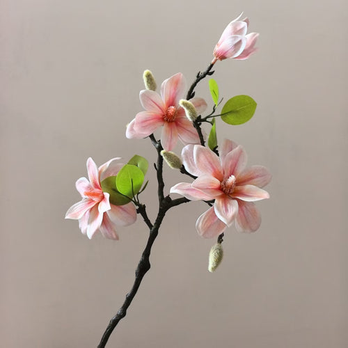 Elegante Magnolienstängel
