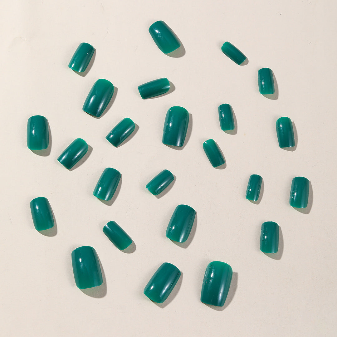 Glänzende Nagelkunst Verlängerungen Karnz