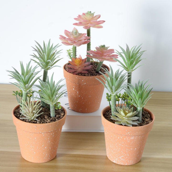 Künstliches Sukkulent-Planzenarrangement