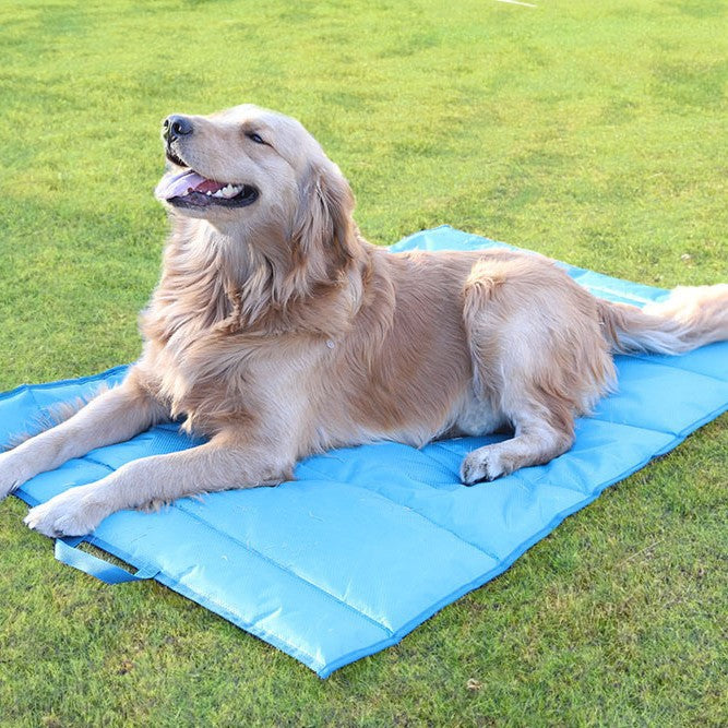 Kühlmatte   Hundebett