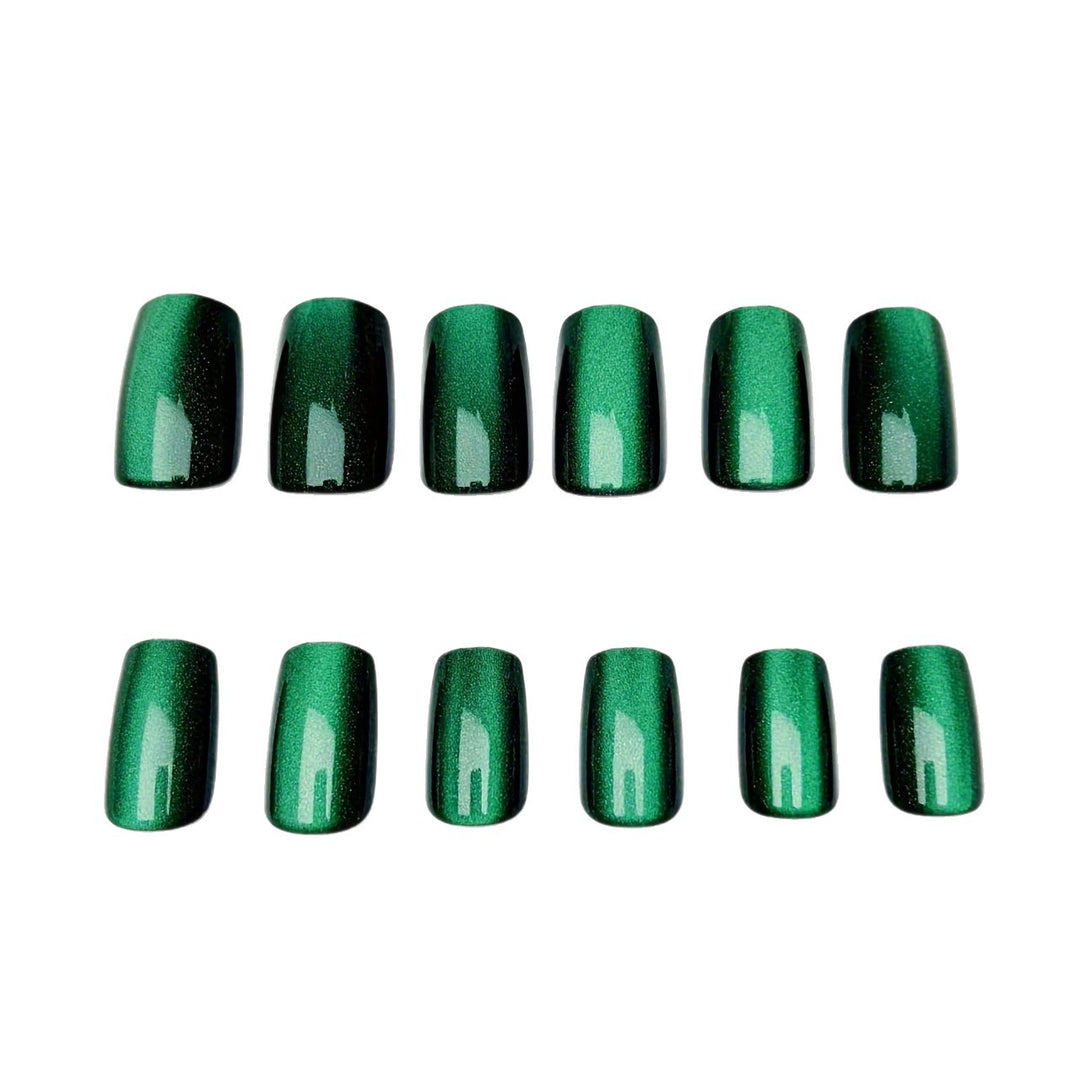 Ombre Glänzendes Nagelset