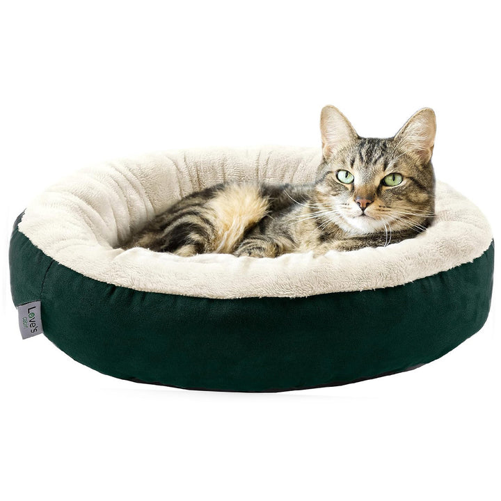 Gemütliches Katzen Karnz Bett