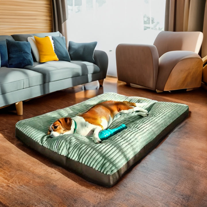 Weiches Texturiertes Matratzen-Hundebett