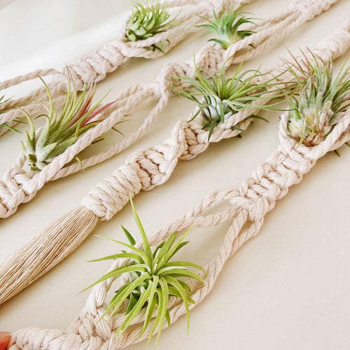 Elegante Macrame-Pflanzenwandbehänge Karnz