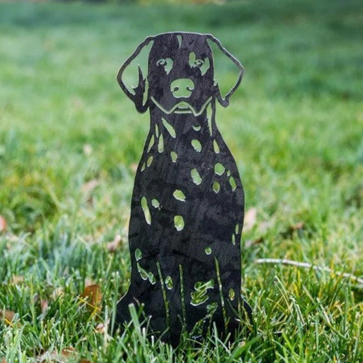 Cairn Terrier | Karnz