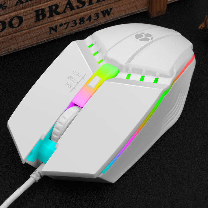 Gamer Maus Karnz