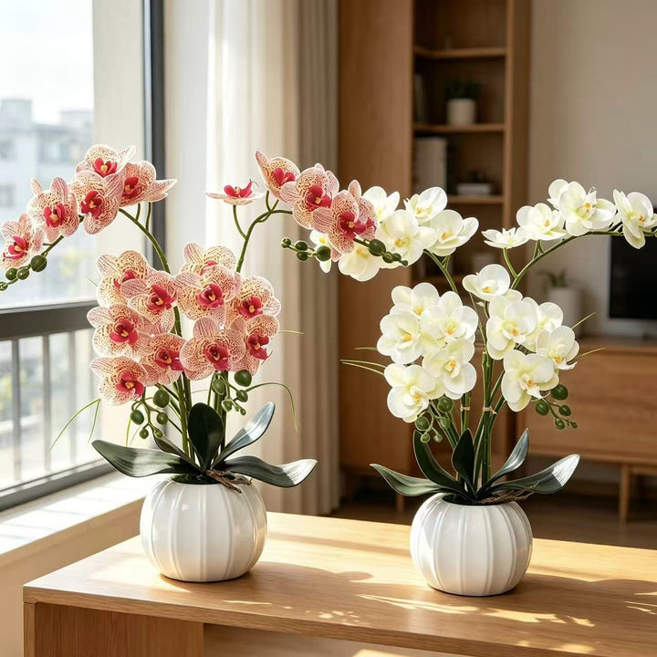 Elegante realistische Orchideenarrangement