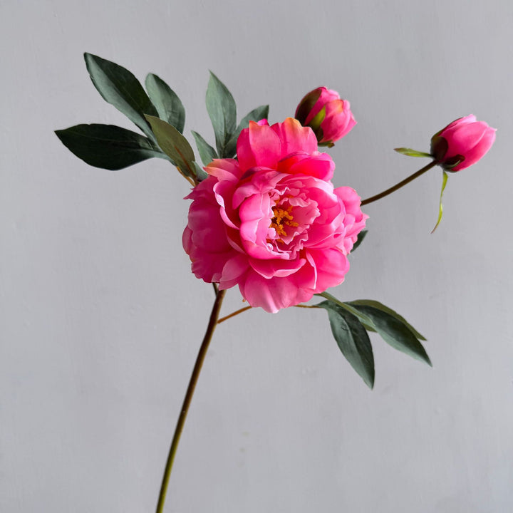 Dekorative Blumenarrangement