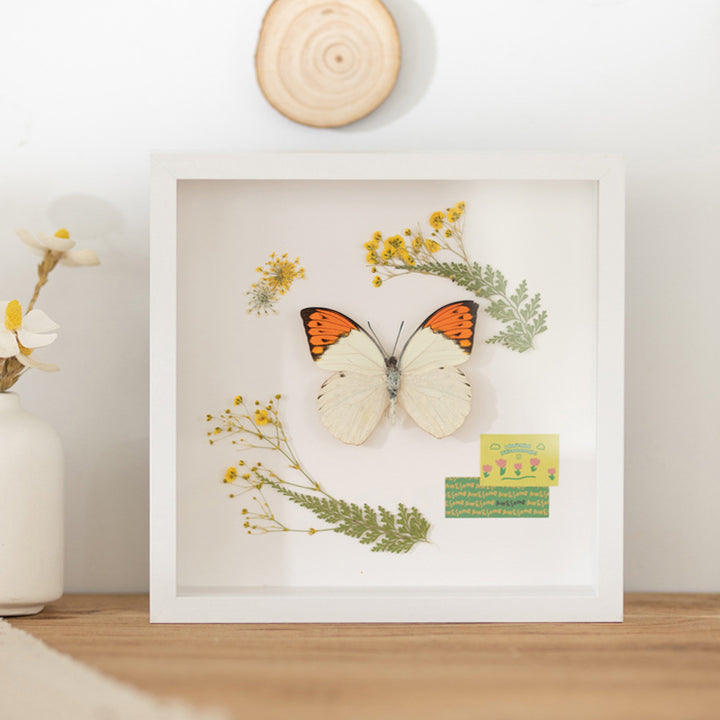 Dekorative Schmetterlings-Wandkunst für Zuhause